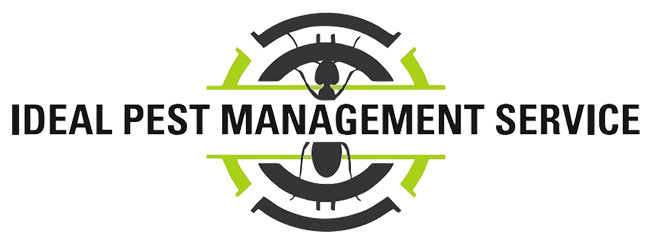 idealpestmanagemnt